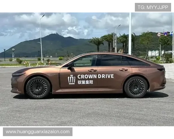 如何快速升级到皇冠官网网页版最新版本确保功能全面畅享